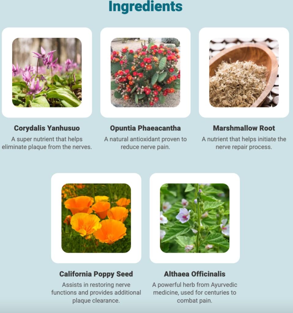 Nerve Calm ingredients