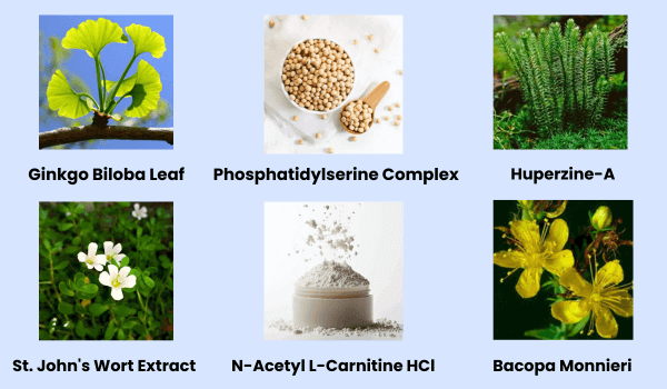 Neuro Sharp Reviews 2026